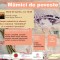 Mămici de poveste- ediția a II-a